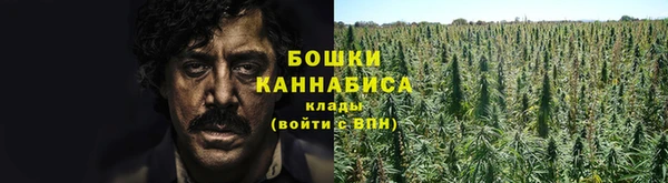 прущие крисы Белокуриха