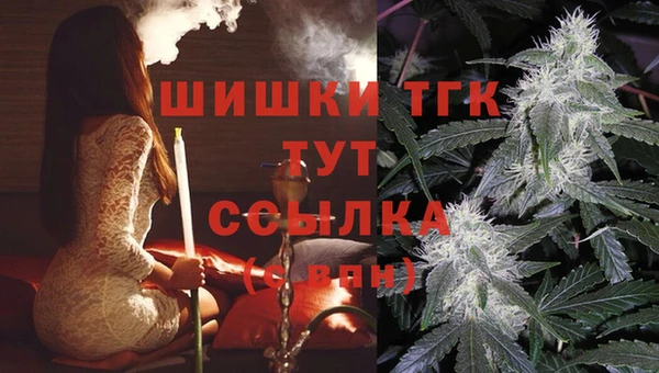 прущие крисы Белокуриха
