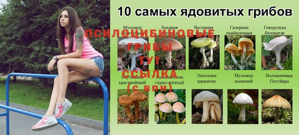 ГАЛЛЮЦИНОГЕННЫЕ ГРИБЫ Лиски