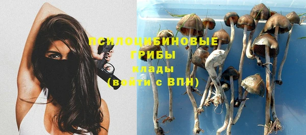 2c-b Липки