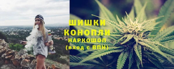 тгк Магас