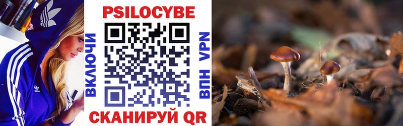 где продают   Малоархангельск  Галлюциногенные грибы GOLDEN TEACHER 